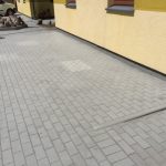 IMG_6842